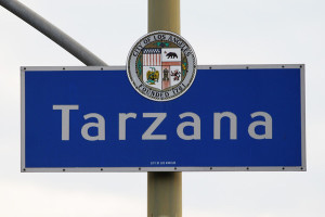 Web design in tarzana | SEO in Tarzana